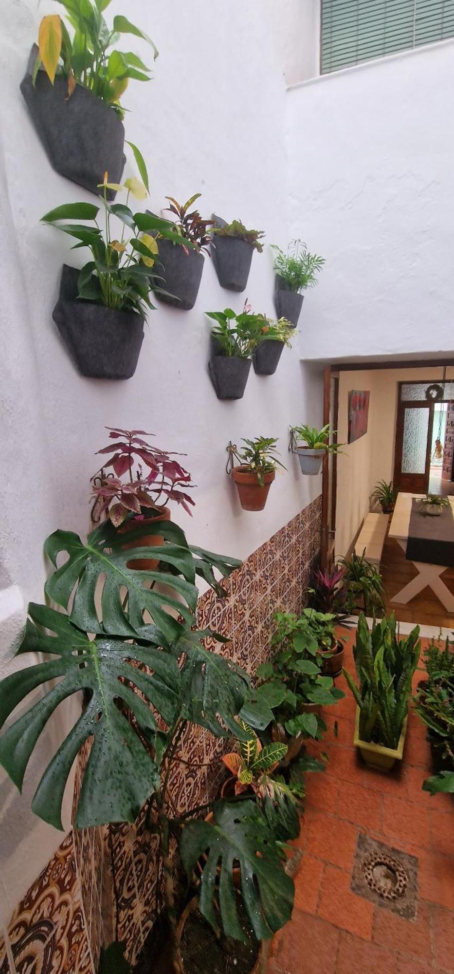 La Casa De Abuela Habitaciones Con Bano Compartido En El Casco Historico De Frigiliana "Solo Adultos" Exterior photo